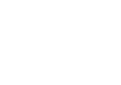 Check Icon
